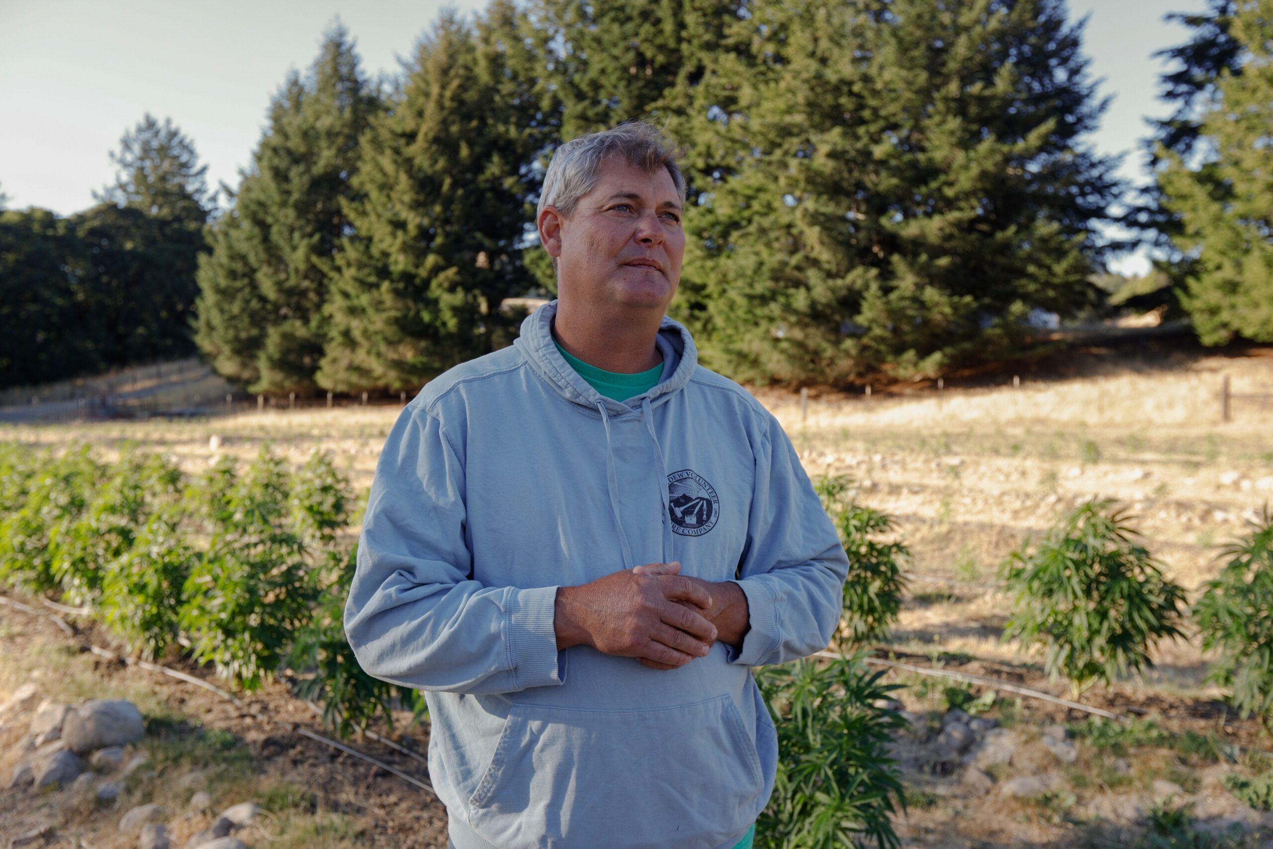 Dylan Mattole en Mattole Valley Organics, que afirma producir 'las proteínas y adaptógenos herbales más puros de la Tierra'